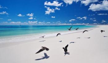 Strand Bird Island Lodge Seychellen